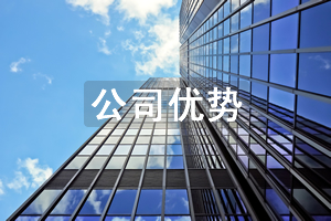 公司優(yōu)勢
